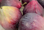 Hyperreal Faux Fig