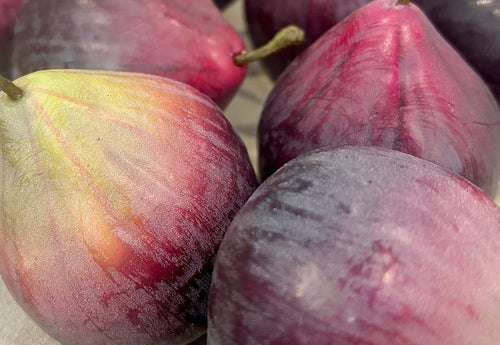 Hyperreal Faux Fig
