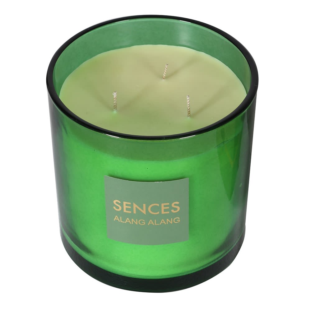 Large Sences Citrus Verbena 3 Wick Candle image 1