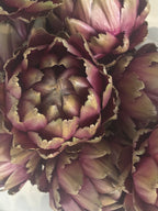 Hyperreal Faux Artichoke Head - Purple