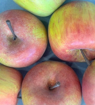 Hyperreal Faux Fiji Apple